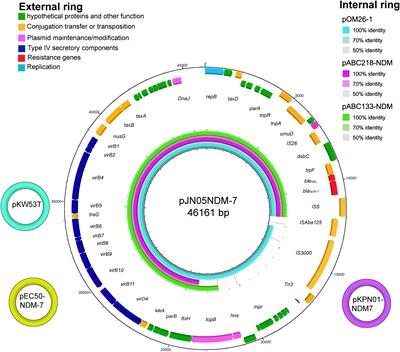 Genotypic and Phenotypic Characterization of IncX3 Plasmid Carrying blaNDM-7 in Escherichia coli Sequence Type 167 Isolated From a Patient With Urinary Tract Infection